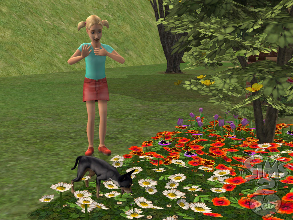 aktualizacja The Sims 2 Zwierzaki