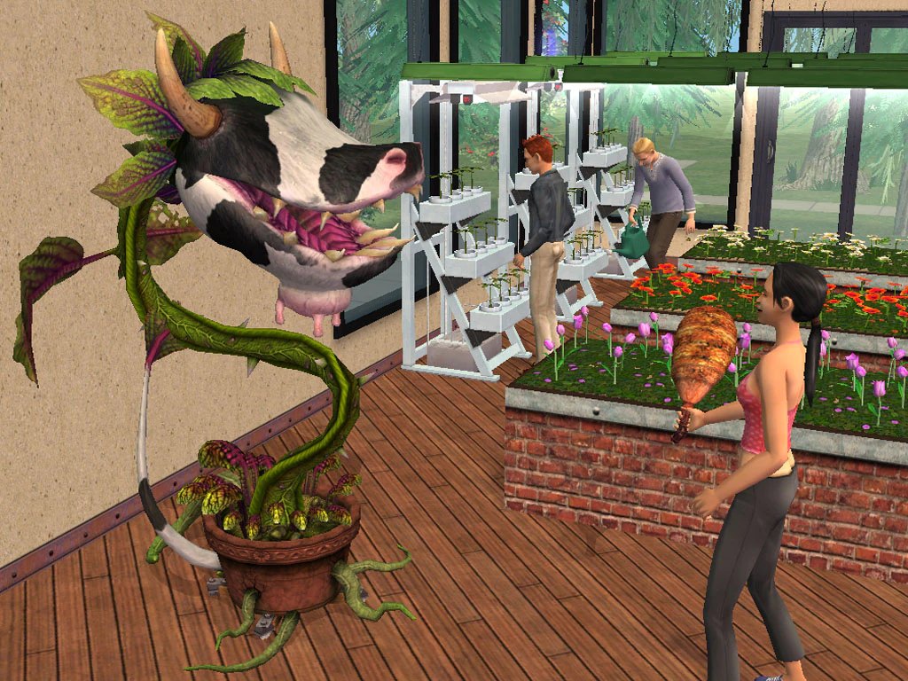 The Sims 2 Na Studiach kierunki