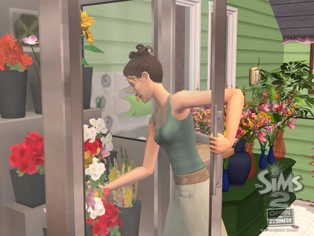 The Sims 2 Własny Biznes premie
